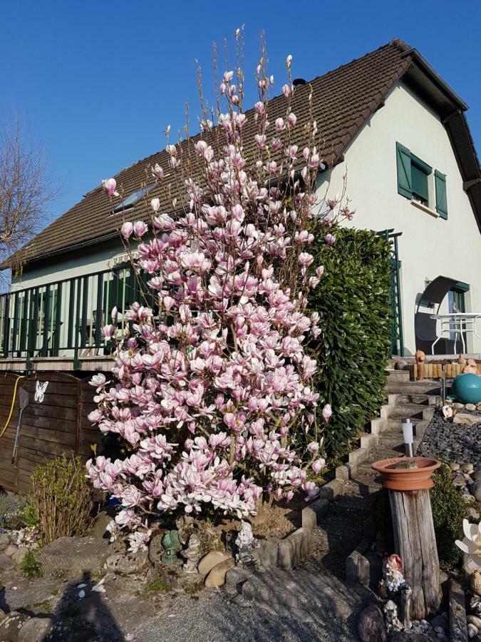 Le Nid Fleuri De Cravanche Luaran gambar